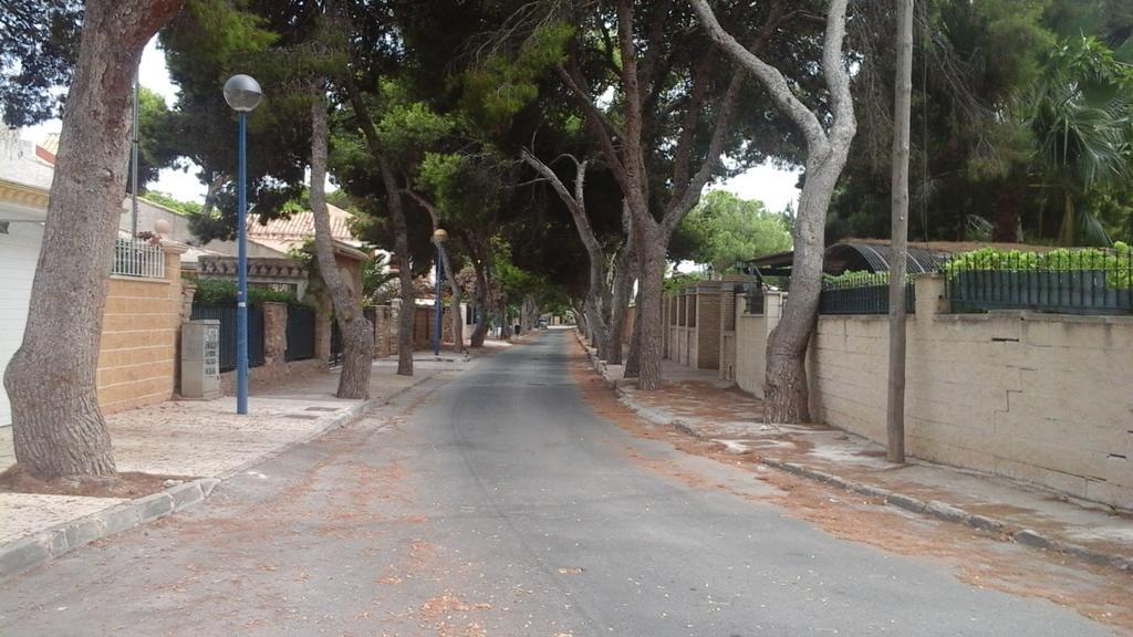 טורבייחה Holiday Home Torre De Pisa מראה חיצוני תמונה